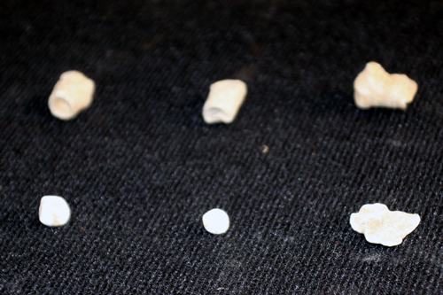 Six bullets found at the site of the McCoy house on display at the Coal House in Williamson, WV