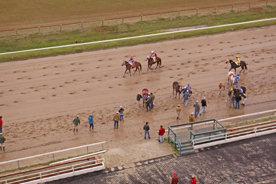 racetrack at Harrah's Louisiana Downs in Bossier City