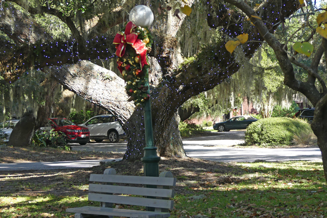 decorated oak trees at Jekyll Island