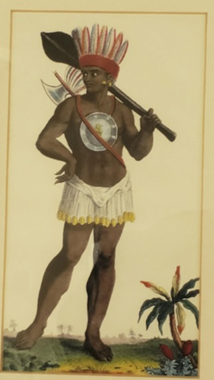 St Lucia native picture