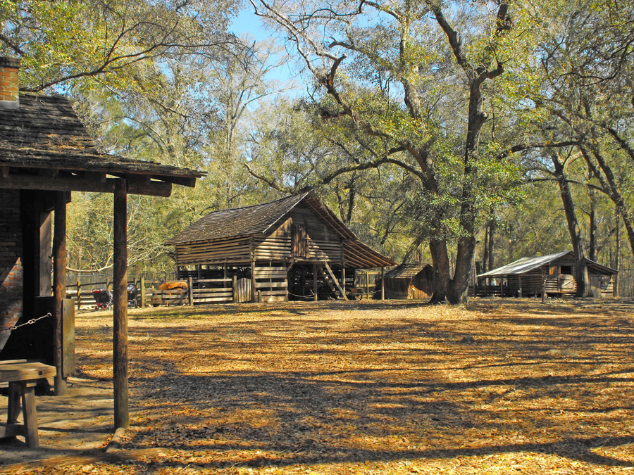 Someof the Big Bend Farm buildings at Tallahassee Museum