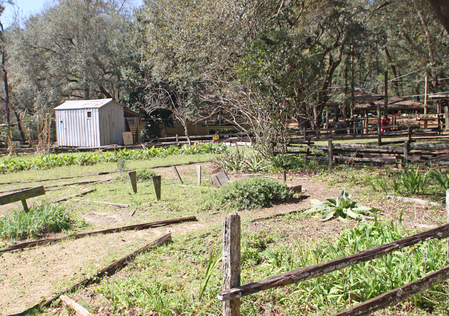 Garden at Big bend Farm at Tallahassee Museum