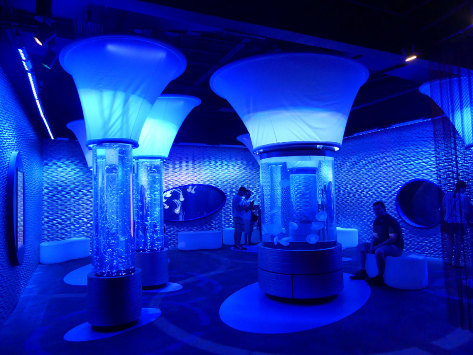 display tanks in Jellyfish exhibit at North Carolina Aquarium at Roanoke