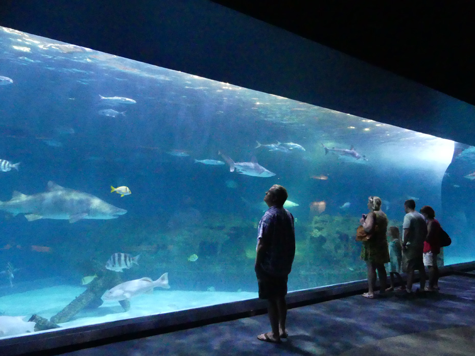 people stare at teh sharks and other fish swiming around a replica of the monitor at North Carolina Aquarium at Roanoke 
