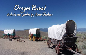 Three covered wagons on Oregon Trail