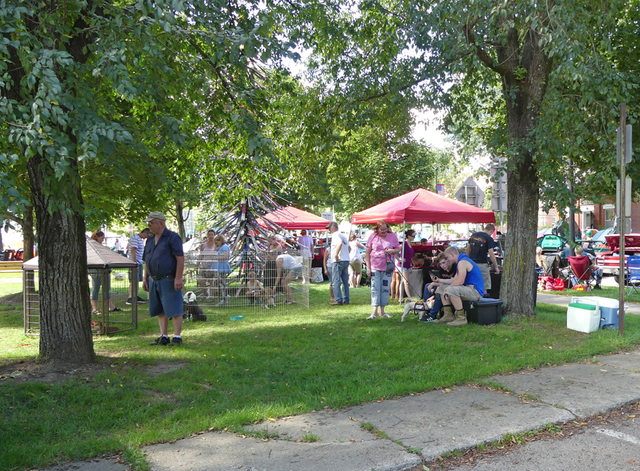 Dog adoption event at Rock and Roll Weekend at Ellicottville