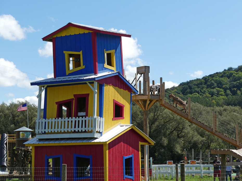 goats going up to goat-tel at  at pumpkinville