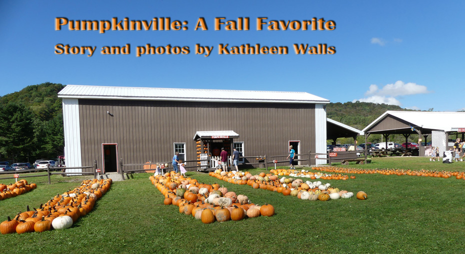 pumpkins outside barn at pumpkinville