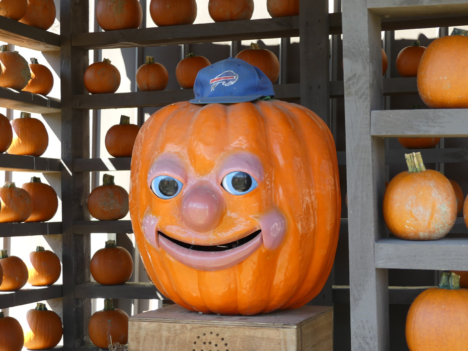 talkin g pumpkin  at pumpkinville