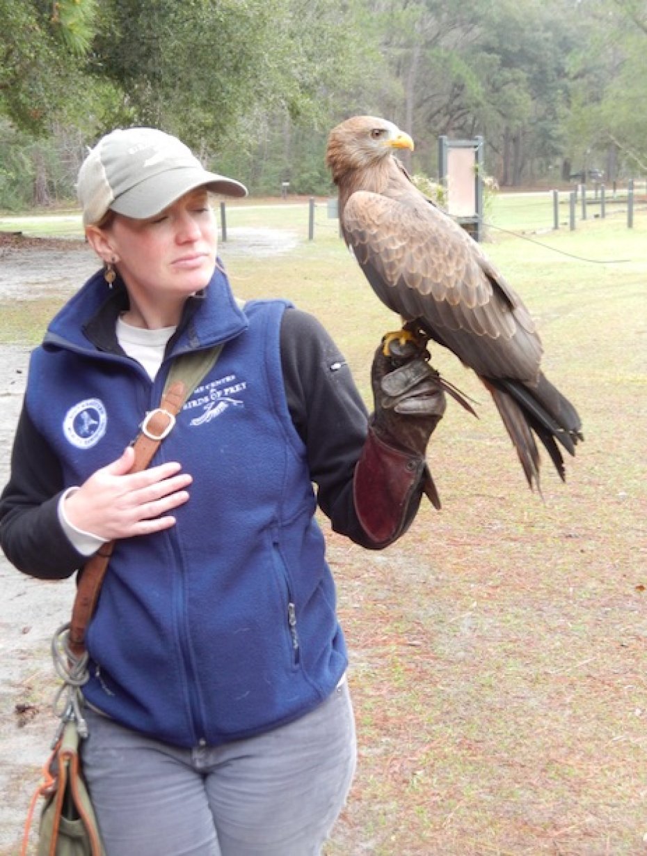 woman holding a bird of prey
