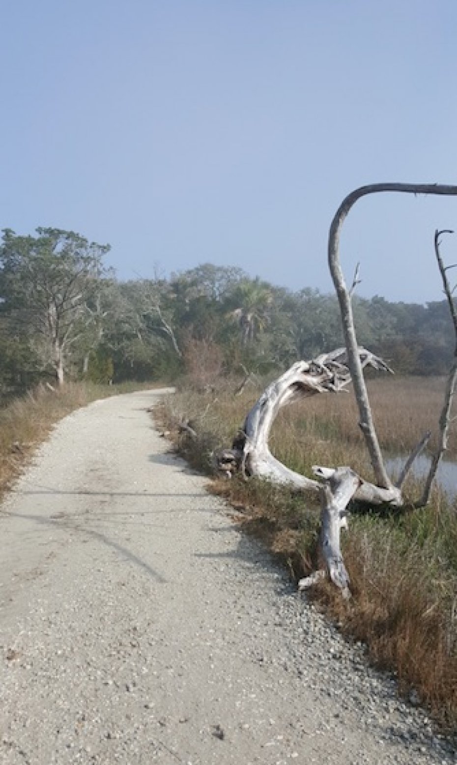 road in marsh in South Carolina