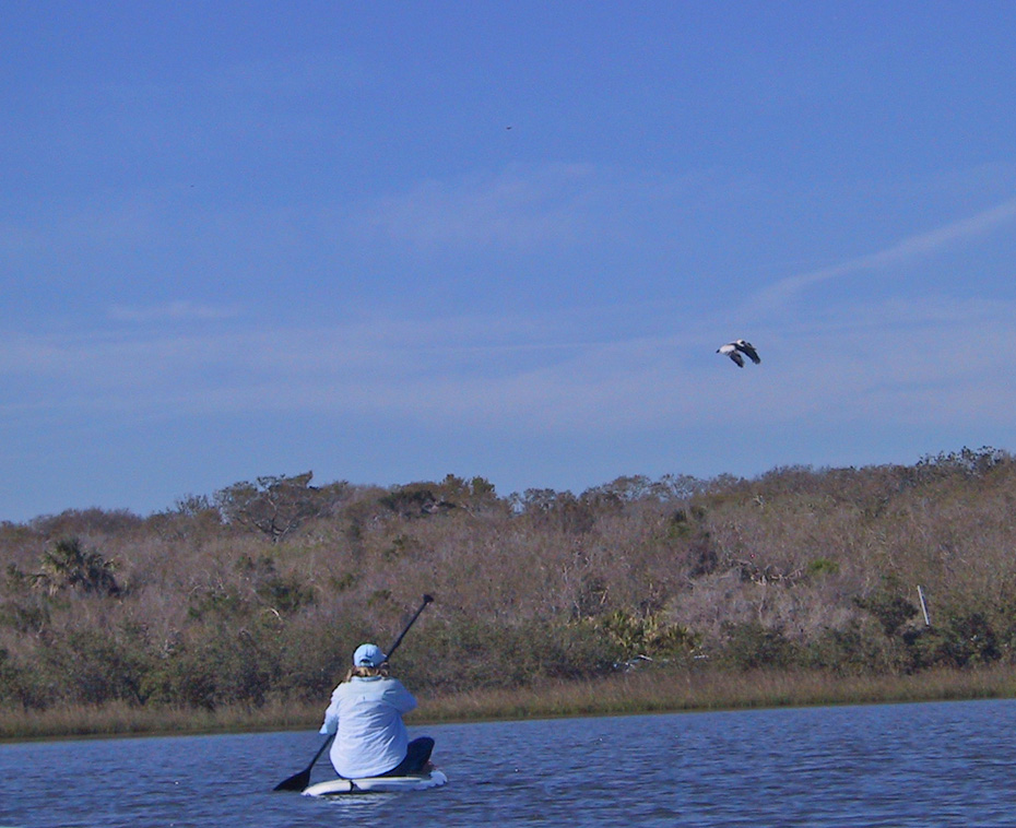 Woman on paddleboard with bird flying overhead.