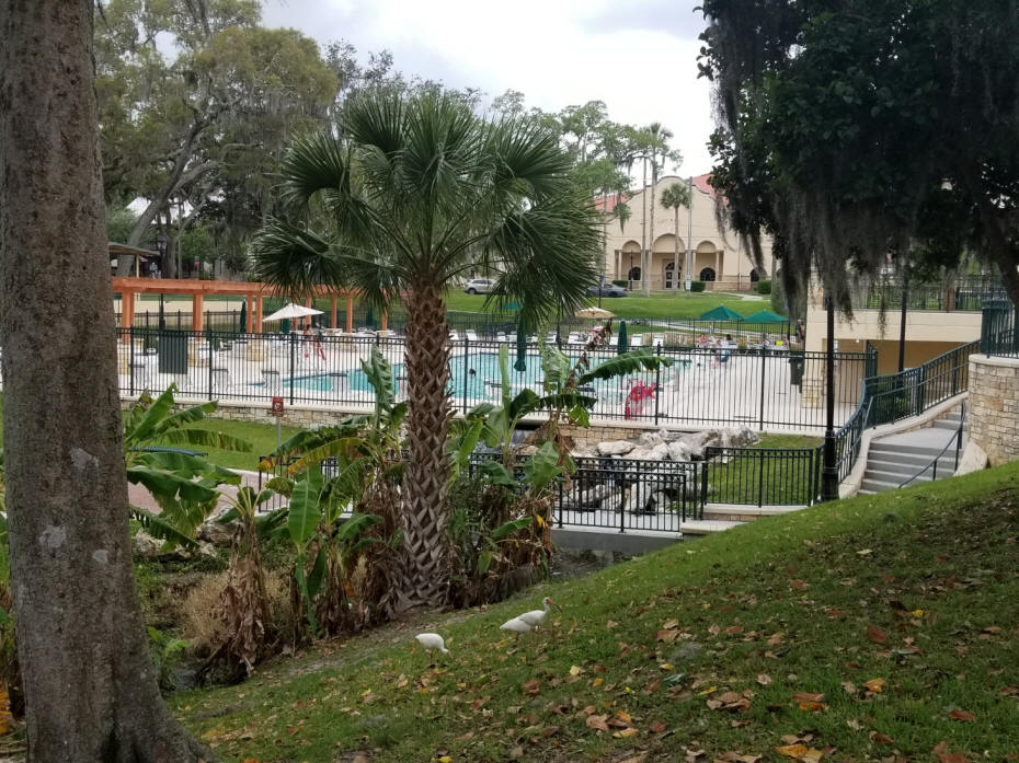 spring park