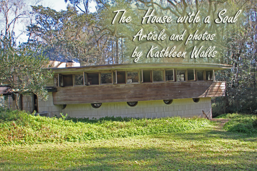 <h1>Spring House in Tallahassee, FL</h1>