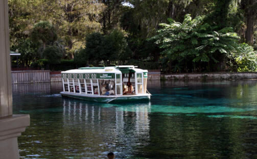 Glass bottomed boat at Silver Springs State Park near Ocala, Flofids