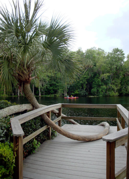 Kayaker at Silver Springs State Park near Ocala, Flofids