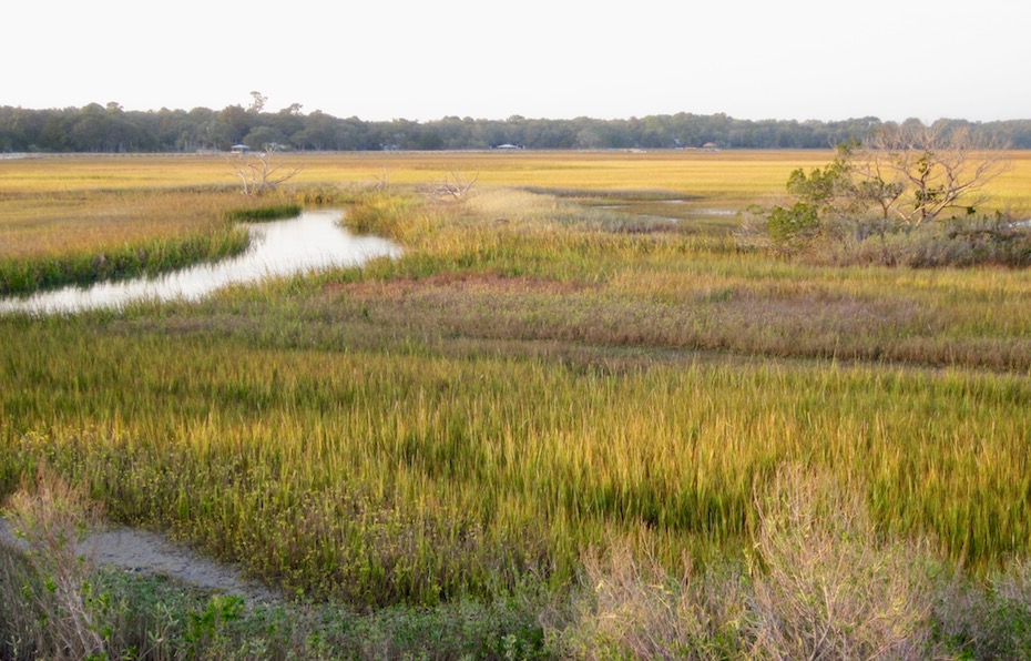 View over marsh