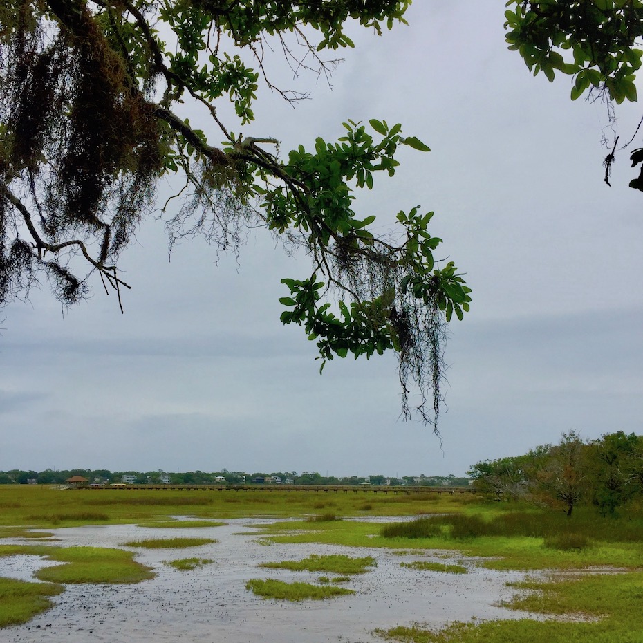 View over marsh