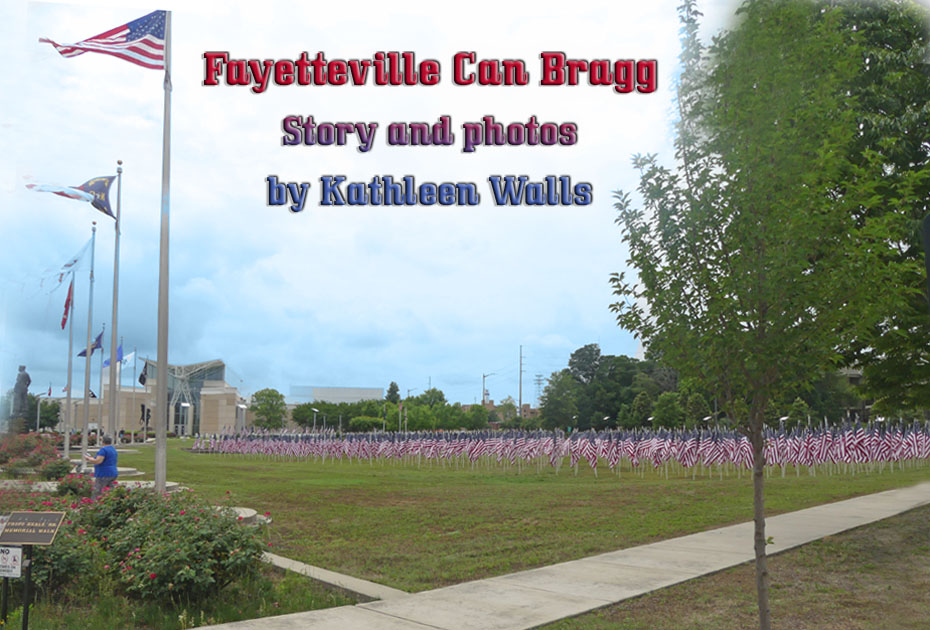 Field of american flags at Fort Bragg's 82nd Airborne Museum