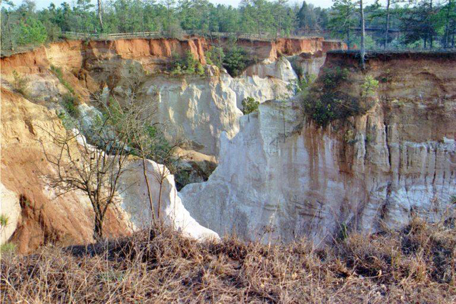 Providence Canyon in Western Georgia near Lumpkin